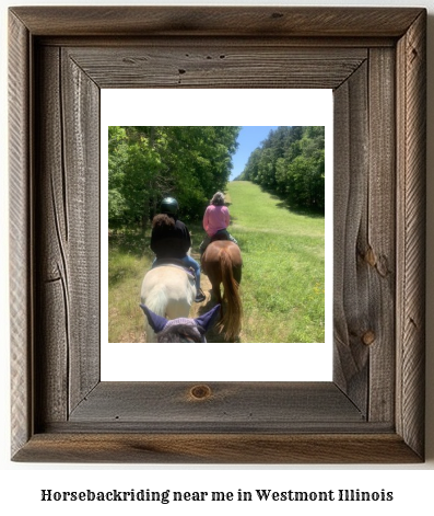 horseback riding near me in Westmont, Illinois